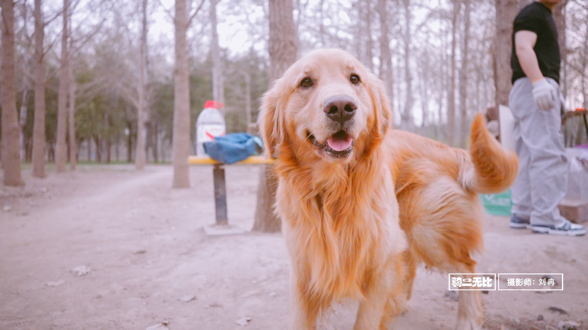 玉泉营 大师初级5期(3月27日周五晚上)